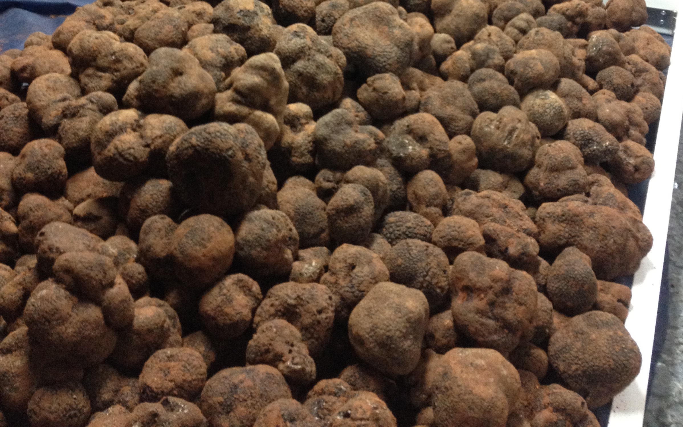 TRUFAS